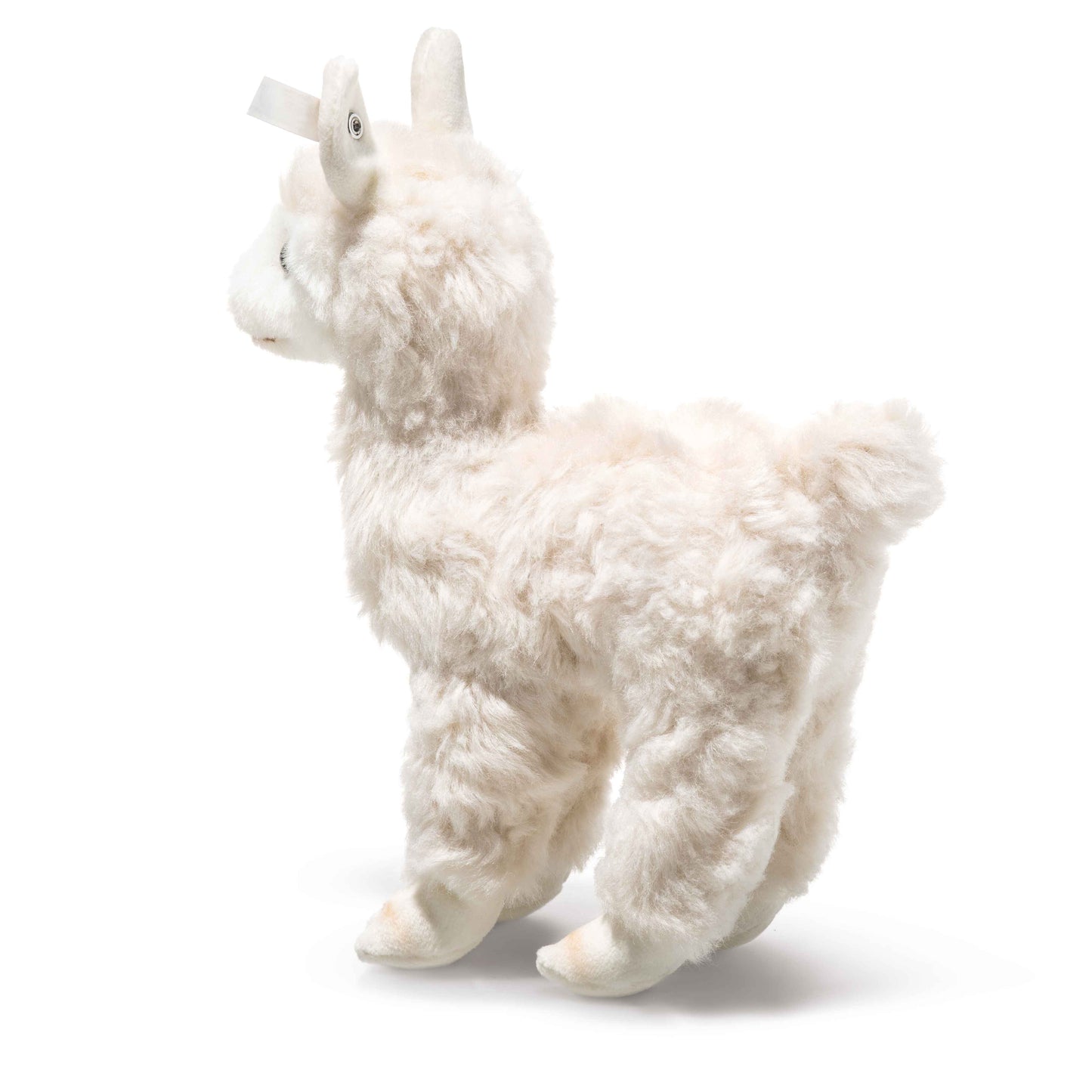 Steiff Cosy Alpaka - 18cm - NEU (069505) -Neuheit 2026