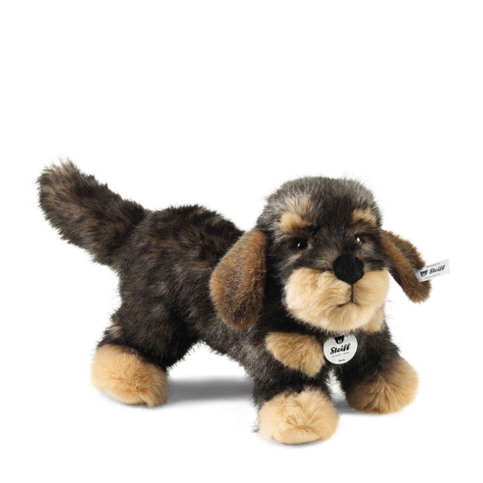 Steiff Moritz Rauhaardackel - 30cm - (076985) - Neu -