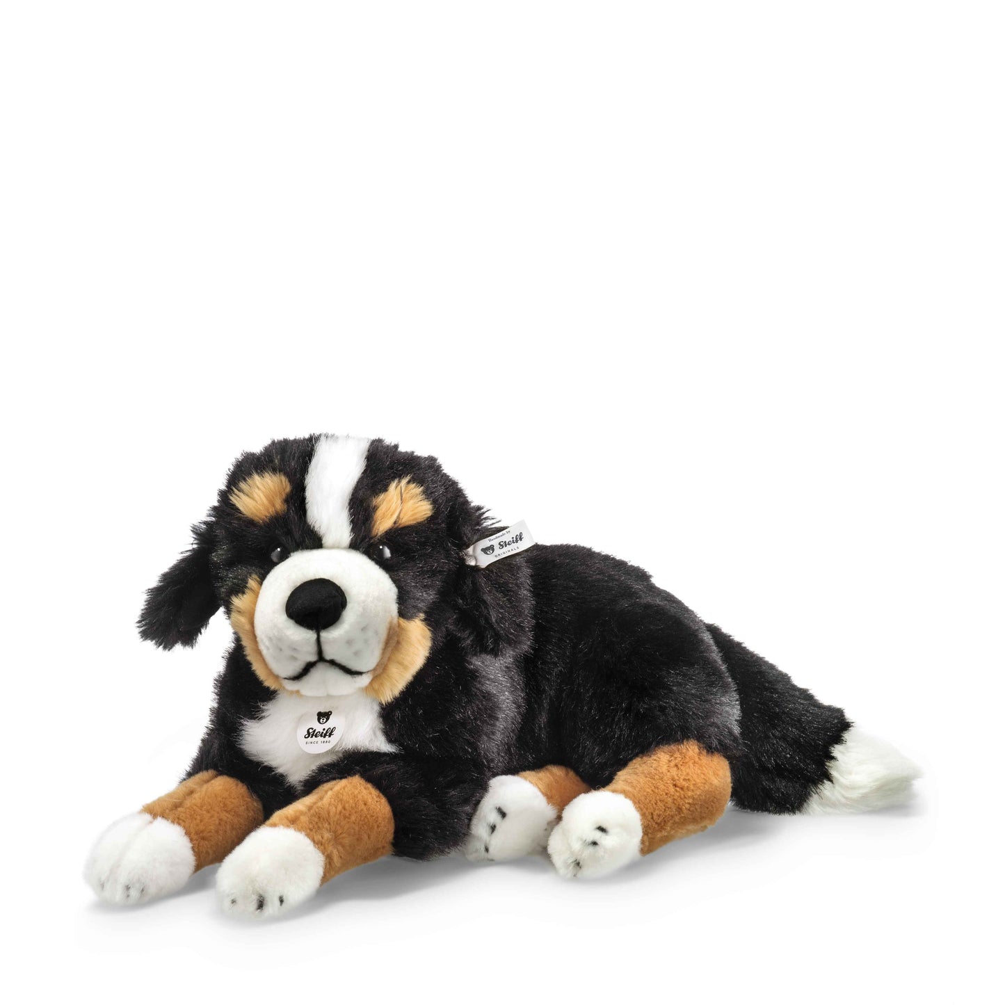 Steiff Senni Berner Sennenhund - 45cm - NEU (079528)