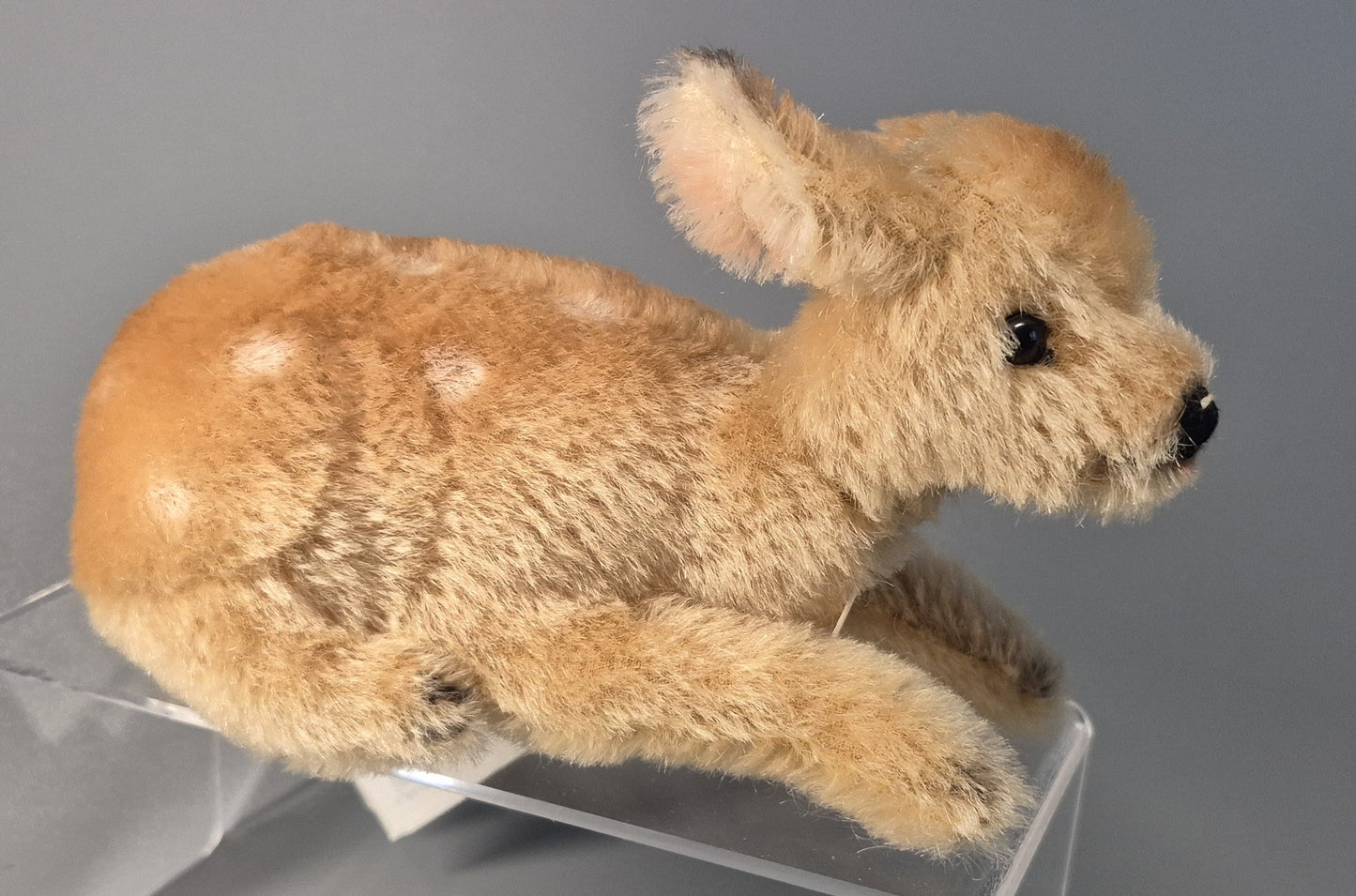 Steiff Remi Rehkitz - 18cm - NEU (068942)