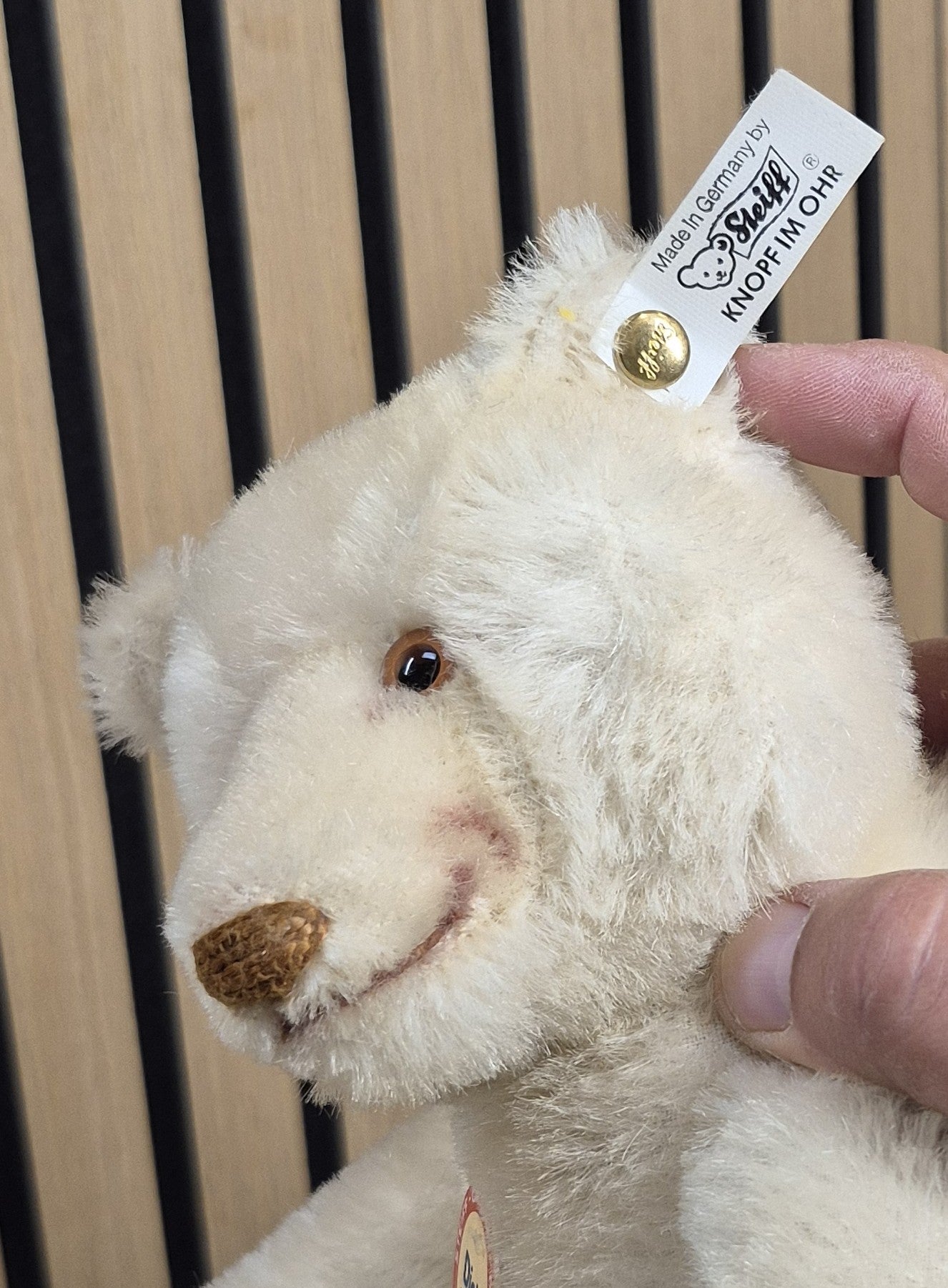 Steiff Dicky Bär Replika - weiß - 30cm - Musterstück - Neuwertig - (B2)