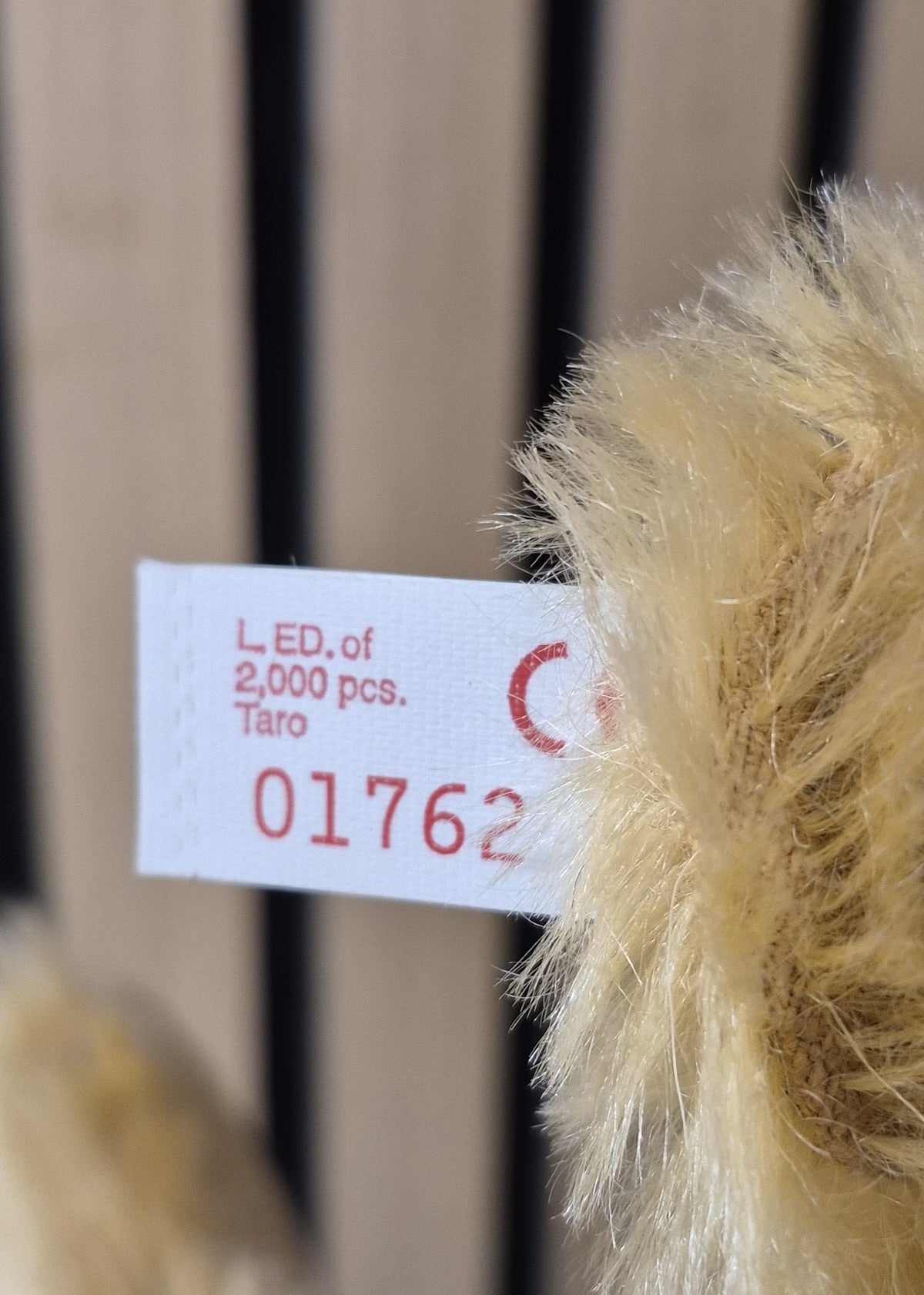 Steiff Japan Teddy Taro- 28cm - 2000 - Neuwertig - (B6)